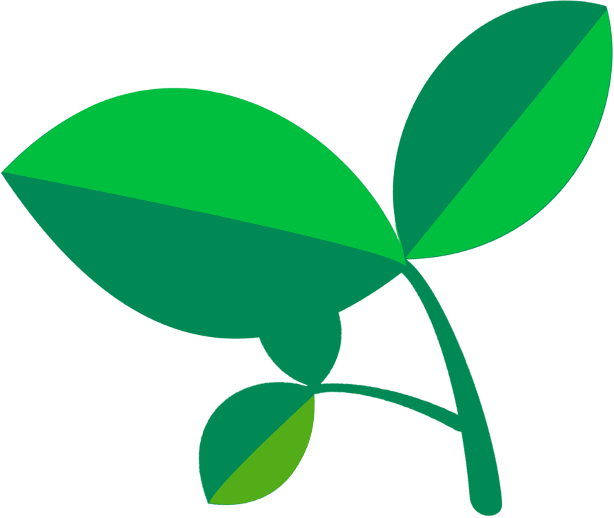 公益財団法人 わかば財団